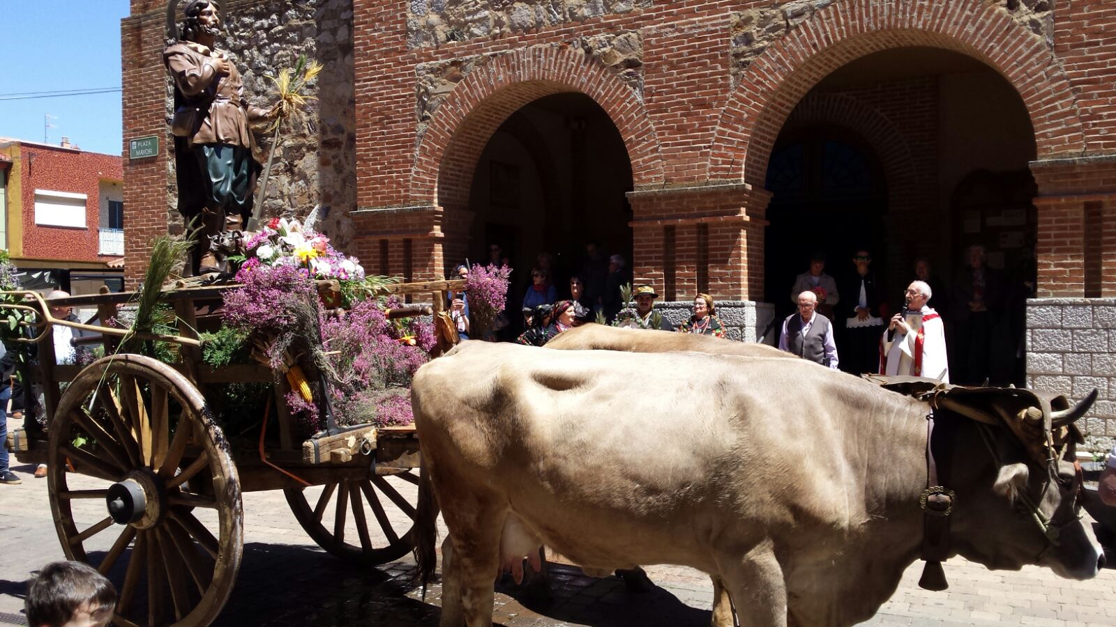 Santa María del Páramo celebra la festividad de San Isidro Labrador con un intenso programa de actividades organizadas por la Junta Agropecuaria Local