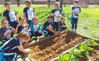 El alumnado del colegio Paula Montal cruza fronteras gracias a su huerto escolar