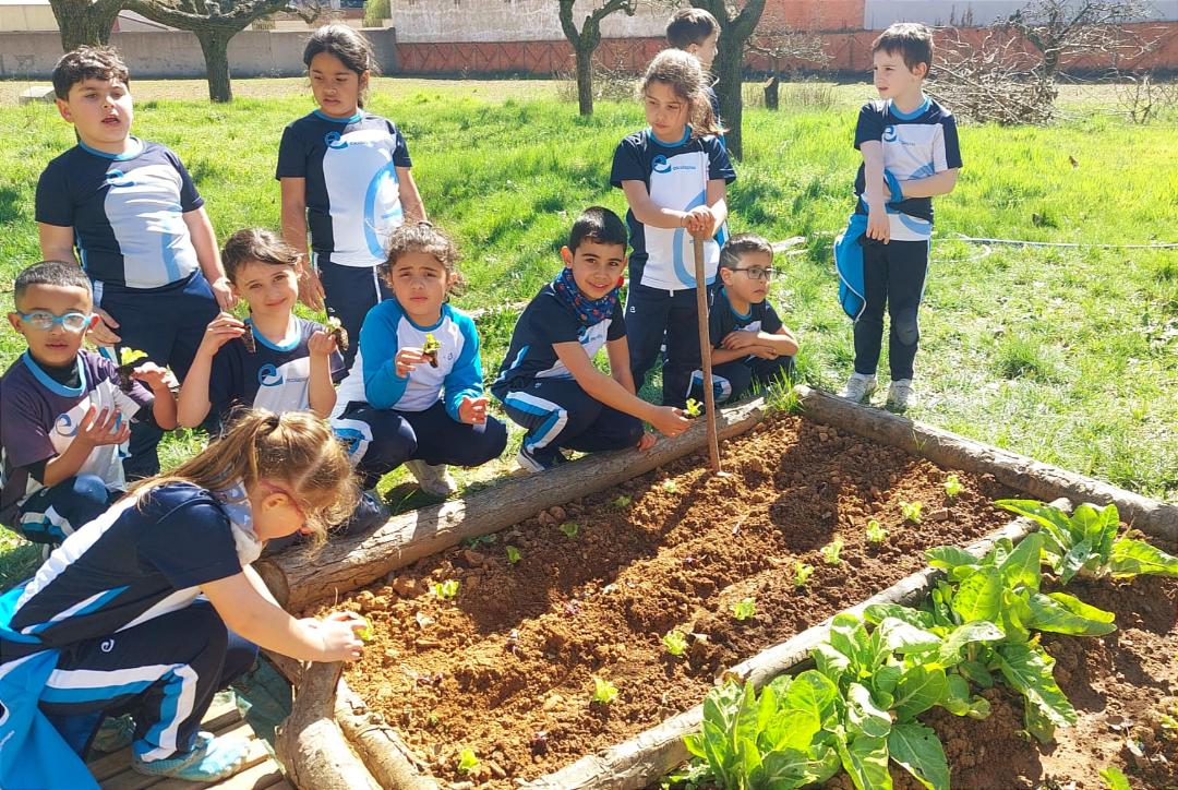 El alumnado del colegio Paula Montal cruza fronteras gracias a su huerto escolar