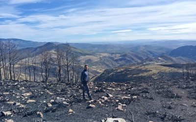 Investigadores de la ULE revelan el “cóctel de factores ambientales” que desató la campaña récord de incendios de 2025, con más de 524.000 hectáreas quemadas