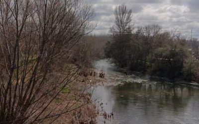 La Bañeza solicita la limpieza de los cauces de los ríos a la CHD para evitar incendios y problemas de salubridad
