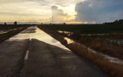 UPL denuncia la mala gestión del alcalde de Valdefuentes del Páramo ante problemas de salubridad y seguridad vial en el municipio