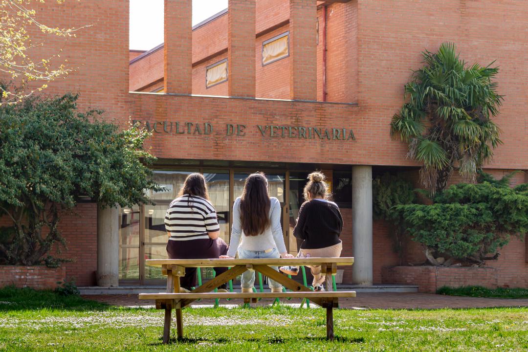 Medicina lidera las preinscripciones en la Universidad de León, con 5.474 solicitudes, seguida de Enfermería en ambos Campus