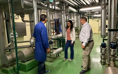 La Junta impulsa nuevos usos para los subproductos agrarios con el objetivo de generar más valor en el medio rural