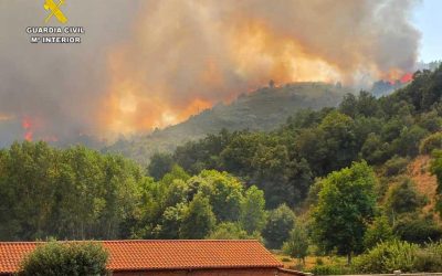 Detenido un varón como supuesto autor de un delito de incendio forestal en la localidad de La Utrera (Valdesamario)
