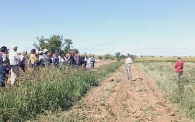 Programa Local Cope Astorga 27 de Agosto 2026