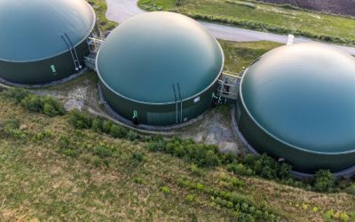 Val de San Lorenzo proyecta una planta de biometano y producción de fertilizantes