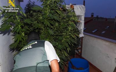 La Guardia Civil detiene en La Bañeza a un varón de 59 años e interviene diversas sustancias estupefacientes