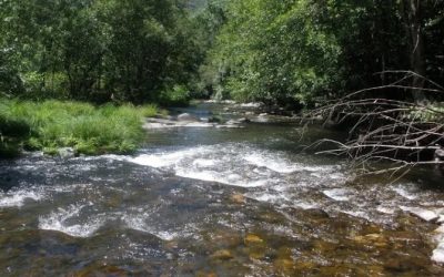 Varios colectivos ecologistas denuncian la presencia de un vertido contaminante en el río Cabrera en la provincia de León