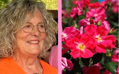Jornada cultural en Santa Marina del Rey para homenajear a Matilde Ferrer, creadora de la ‘rosa peregrina’