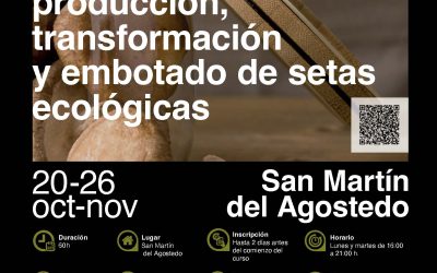 Las setas ecológicas, desde la producción hasta su salida al mercado