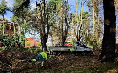 El Ayuntamiento de La Bañeza continúa con las labores de mantenimiento y mejora de sus zonas verdes